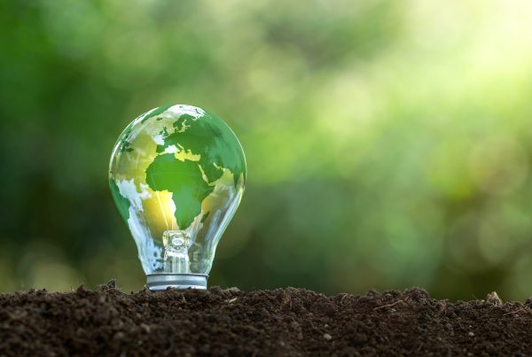 Green business energy