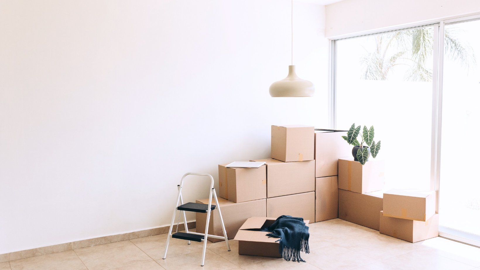 Everything You Need to Know About Void Energy Management